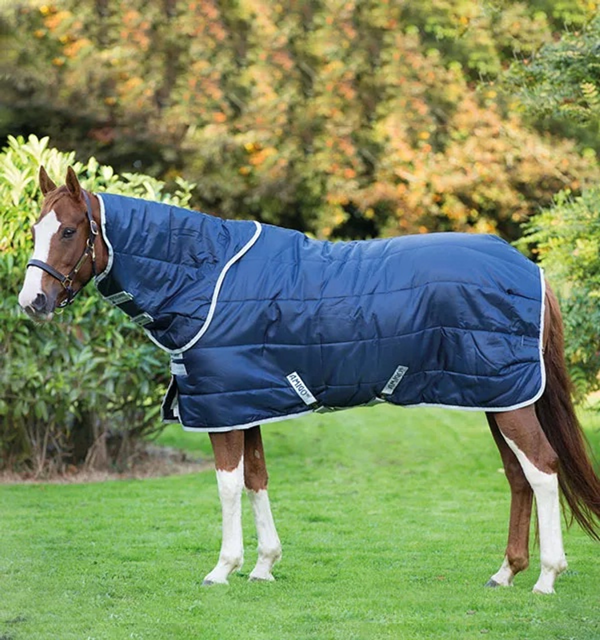 Buy Horze Pony Turnout Rug with Crown Print, 100g