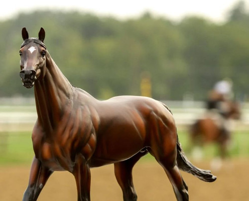 Breyer - Cody's Wish - racehorse