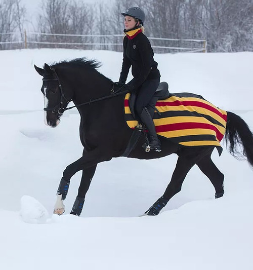 Rambo Fleece Competition (Quarter) Sheet - Witney Stripe Gold