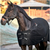 CATAGO® FIR-Tech Therapeutic Rug - on horse
