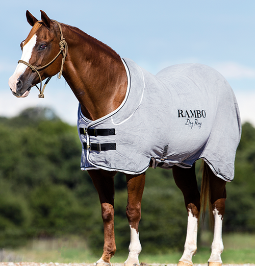 Rambo Dry Rug (no fill)