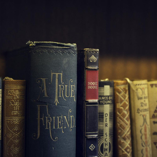 Twelve-South BookBook Case iPad Mini 5 - Brown Twelve-South BookBook Case iPad Mini 5 - Brown