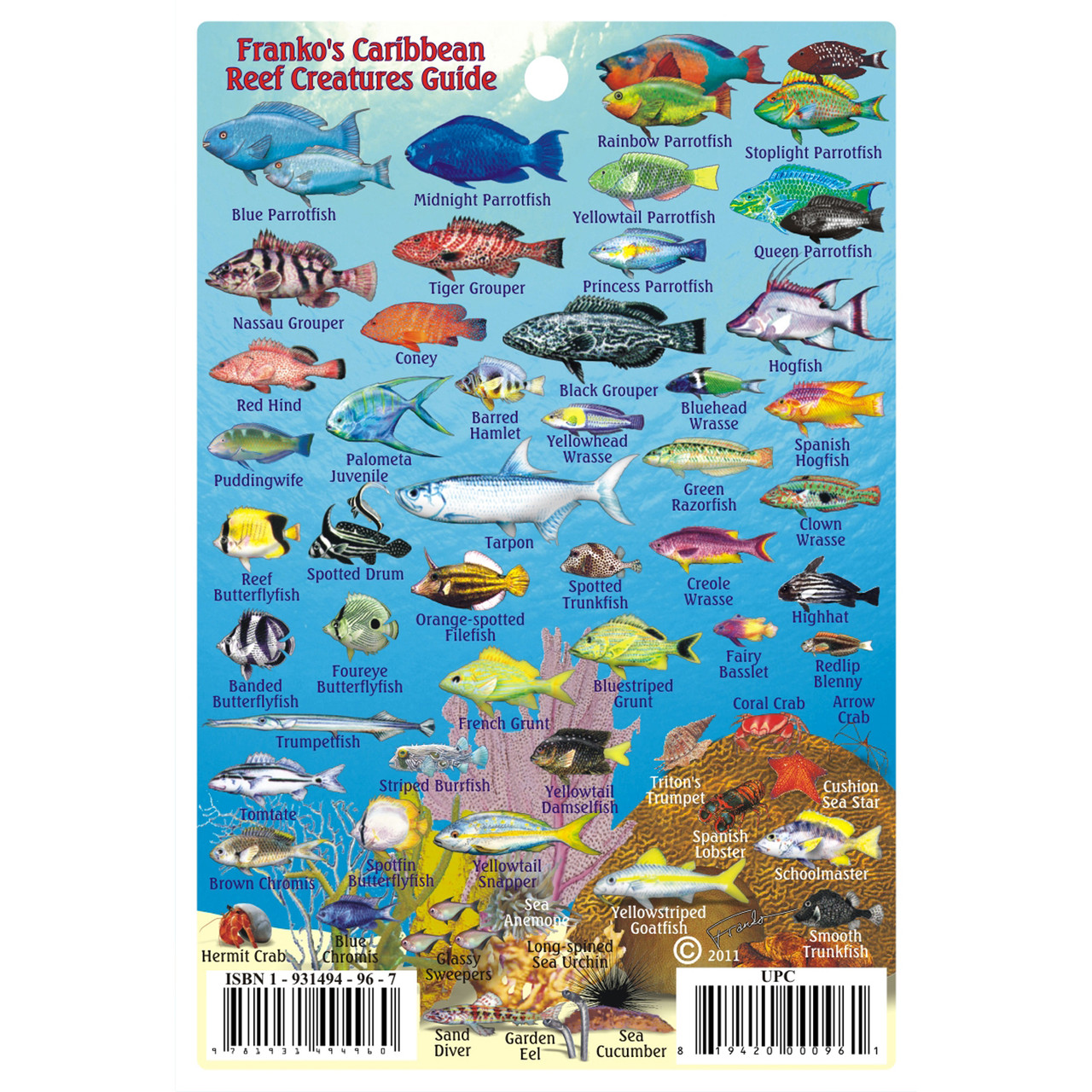 Caribbean Fish Card, Caribbean Mini Fish Card 2009 by Frankos Maps Ltd.