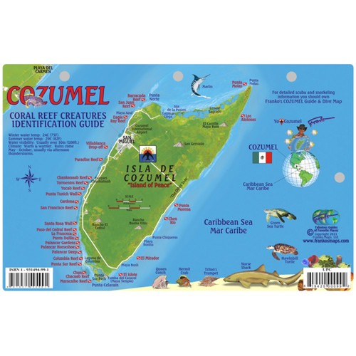 Cozumel Fish ID Card