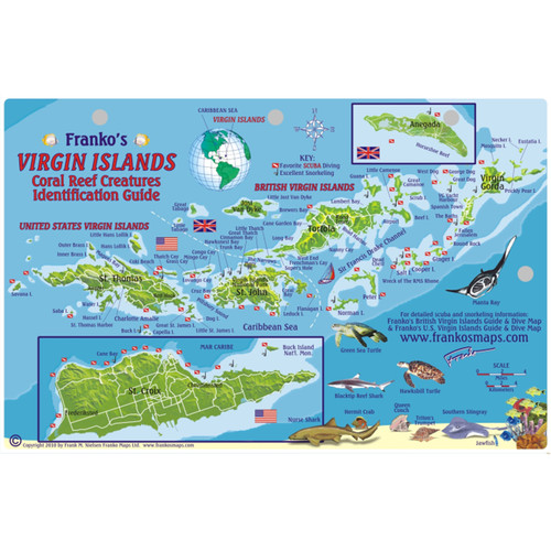 Virgin Island Fish ID Card