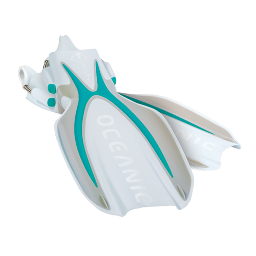 Oceanic Manta Ray