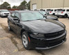 New 2023 AWD V6 Black Dodge Charger PPV ready to be built as a Marked Patrol Package Police Pursuit Car (Emergency Lighting, Siren, Controller, Partition, Window Bars, etc.), + Delivery, B-MPV6-3