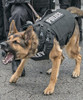 Point Blank K-9 Operations Body Armor Vest, For K-9s, Available with NIJ .06 Level II, IIA and IIIA Ballistic Systems