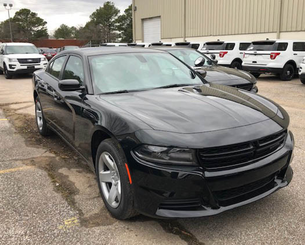 New 2023 Black Dodge Charger PPV V8 RWD ready to be built as a Marked Patrol Package Police Pursuit Car (Emergency Lighting, Siren, Controller, Partition, Window Bars, etc.), + Delivery