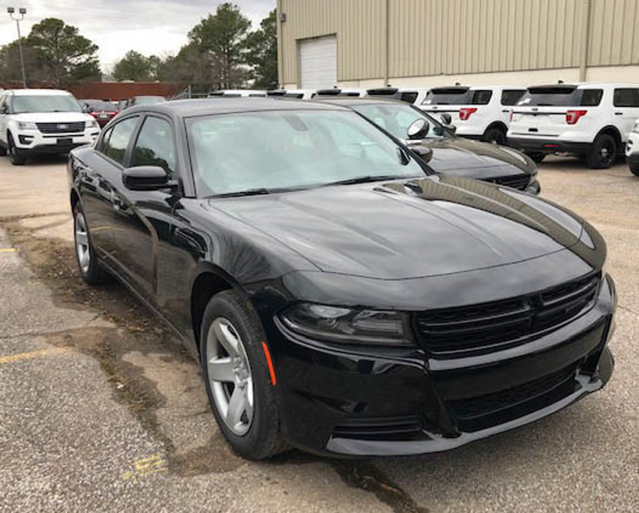 New 2023 Black Dodge Charger PPV V8 RWD ready to be built as an Unmarked Patrol Package Police Pursuit Car (Emergency Lighting, Siren, Controller,  Console, etc.), BCUM1, + Delivery