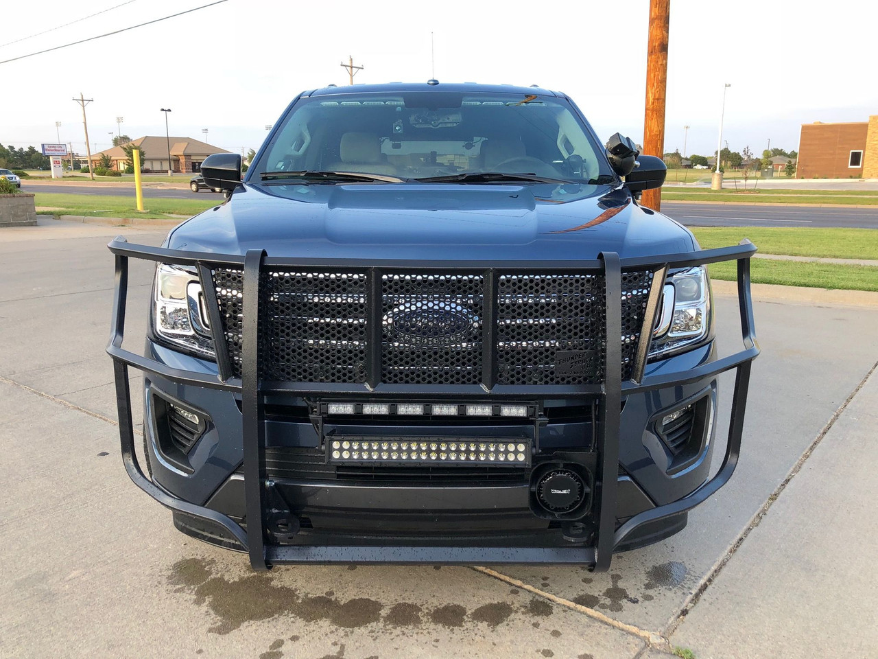 Thunder Struck FEX18-100 Grille Guard Compatible with Ford Expedition 2018-2020