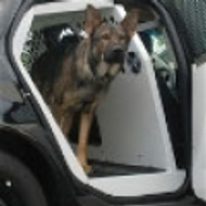 K9 Transport