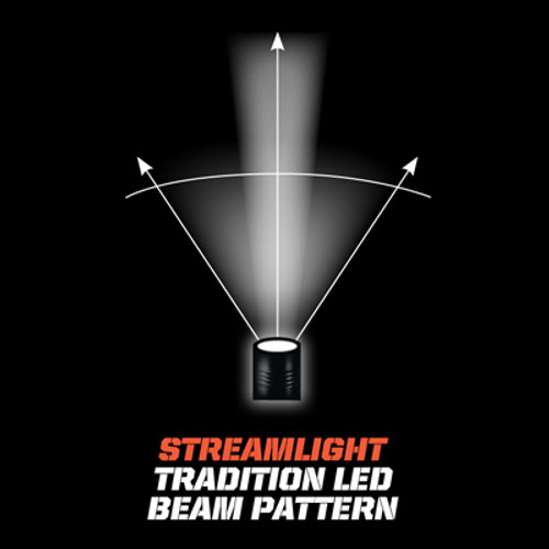 Streamlight 76812 PolyStinger DS LED - 12V DC - Black - DSS