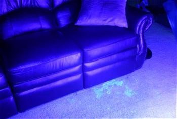 nm-9-bodily-fluid-detection-light-23__17912.1465334426.jpg
