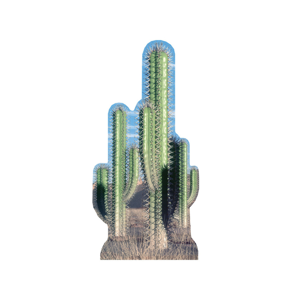 Cactus - Pair