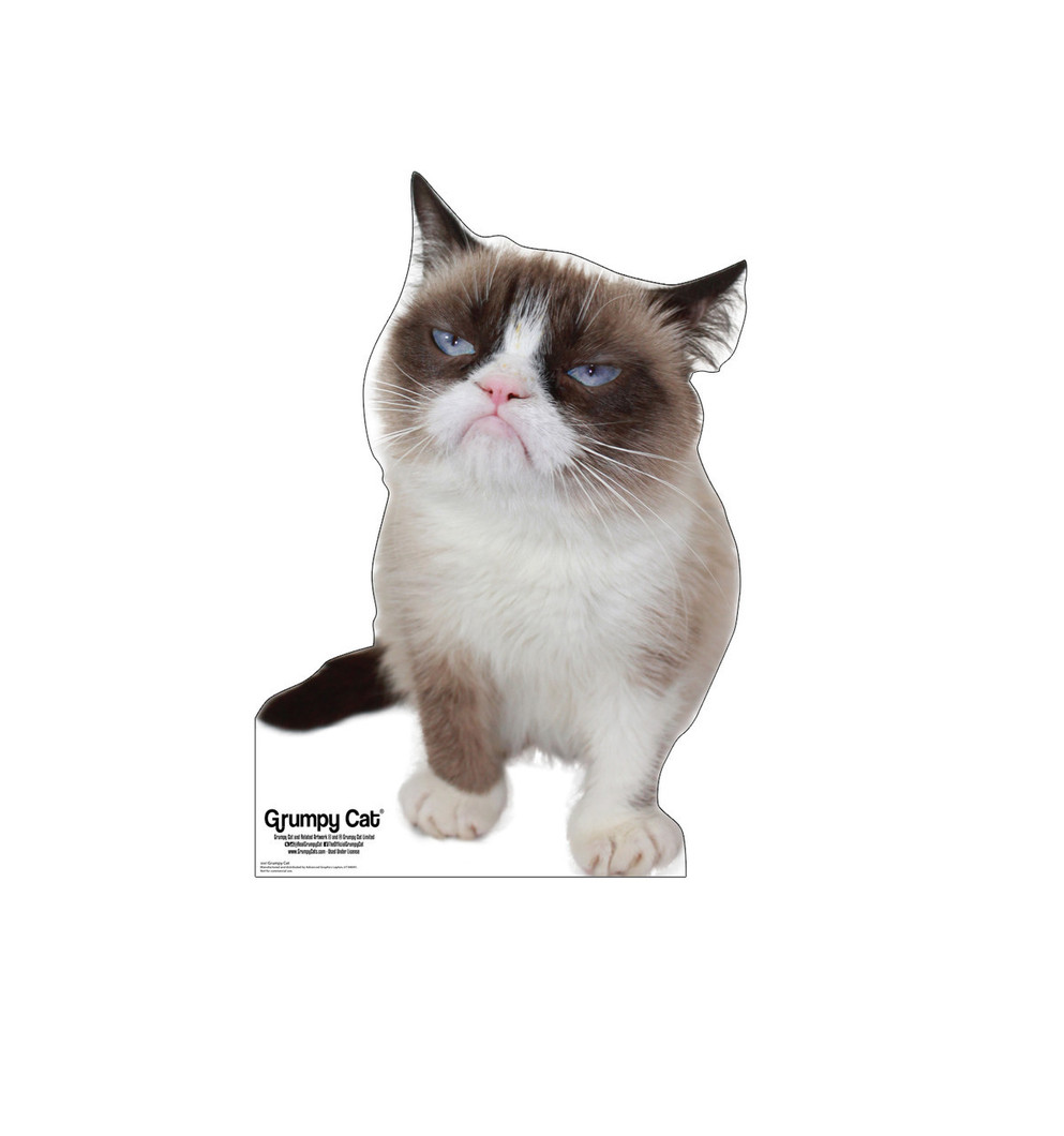 Grumpy Cat