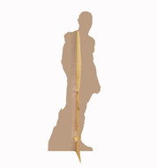 The Flash (Justice League) The Flash (Justice League)