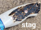 Deer Hunter Drop Point