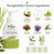 Lemongrass Foaming Hand Soap – Made with Organic Olive Oil | Plant-Based & Non-Toxic