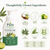 Sage Lime Foaming Hand Soap – Made with Organic Olive Oil | Plant-Based & Non-Toxic