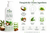Natural Unscented Body Wash with Organic Shea Butter, Aloe Vera & Plant-Based Oils