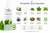 Natural Peppermint Body Wash with Organic Olive Oil, Aloe Vera & Essential Oils
