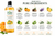 Natural All Purpose Cleaner Concentrate with Essential Oils