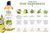 Sage Lime Pure Castile Soap | Organic Multi-Purpose Plant-Based Liquid Soap