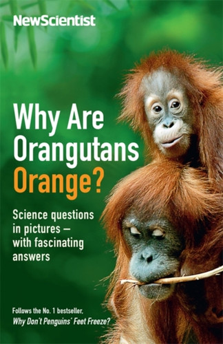 Why Are Orangutans Orange? 9781473642744 Paperback Why Are Orangutans Orange? 9781473642744 Paperback