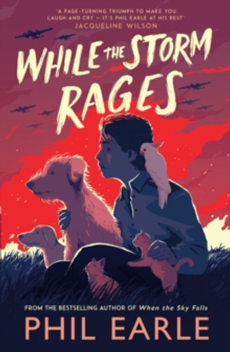 While the Storm Rages 9781839132056 Paperback While the Storm Rages 9781839132056 Paperback