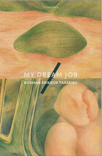 My Dream Job 9781917126007 Paperback
