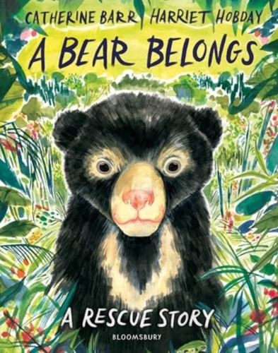 A Bear Belongs 9781526655684 Hardback