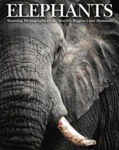 Elephants 9781782749660 Hardback Elephants 9781782749660 Hardback