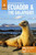 The Rough Guide to Ecuador & the Galapagos (Travel Guide with Free eBook) 9781789194555 Paperback