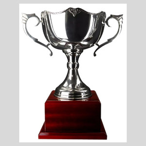 The Triumph Silver Cup and Wooden Base is a premium recognition award that exudes elegance and tradition. Featuring a beautifully crafted silver cup with a radiant finish, this trophy is mounted on a sturdy rosewood base, creating a timeless combination of metallic brilliance and natural warmth. The base offers ample space for personalised engraving, making it a perfect choice for celebrating outstanding achievements.