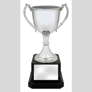 The Championship Cup is the ultimate symbol of achievement, designed to make an impact at any award ceremony or sporting event. Crafted with a sleek nickel-plated finish and available in silver, this elegant trophy offers a professional, high-end look without compromising on durability. Mounted on a solid plastic base, it’s lightweight yet sturdy—ideal for repeated use in annual events.