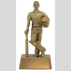 The Cricket Hero Batsman Trophy is a dynamic and iconic award that celebrates exceptional cricket performances. Featuring a detailed batsman in a heroic pose, this trophy is designed to inspire and honor the skill, determination, and passion of cricket players. Its polished finish and customisable base make it a standout piece for any awards ceremony.