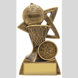 The Netball Spinifex Trophy is a distinctive and stylish award that captures the energy and grace of netball. Featuring a unique spinifex-inspired design, this trophy stands out as a symbol of excellence and achievement. Its polished finish and customisable base make it a perfect choice for honouring both individual and team success.