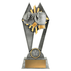 The Boxing Peak Trophy is a powerful and striking award designed to celebrate strength, endurance, and fighting spirit. Featuring a bold peak design with boxing-themed details, this trophy symbolises determination, technical skill, and reaching the pinnacle of success in the ring. Its polished finish and customisable base make it an excellent choice for recognising individual fighters or gym achievements.