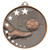Football (Soccer) Stars Medal - Bronze