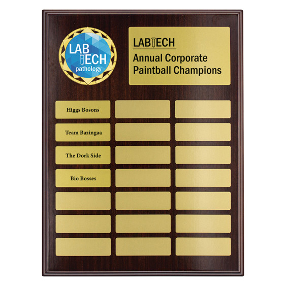 Modern and eye-catching, the Topline Logo Plaque is designed to showcase branding while recognising achievement with style. Featuring a sleek plaque design with a prominent top section for logos, this award is ideal for corporate recognition, sponsorship awards, and professional presentations.