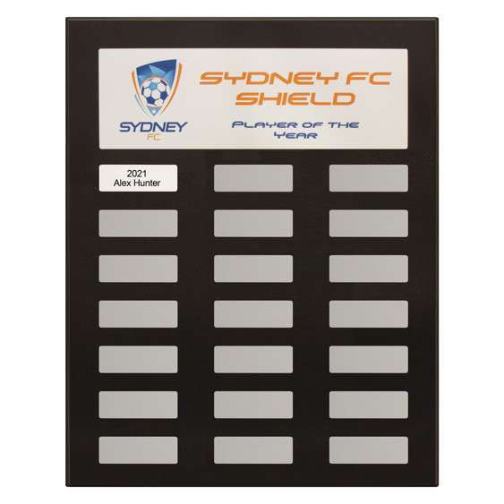 Bright, bold, and designed to stand out, the Colour Headline Plaque is perfect for awards that demand attention. Featuring a premium gold or silver-tone plate with a vibrant coloured header, this plaque allows your award title or logo to shine while providing ample space for personalised engraving below.