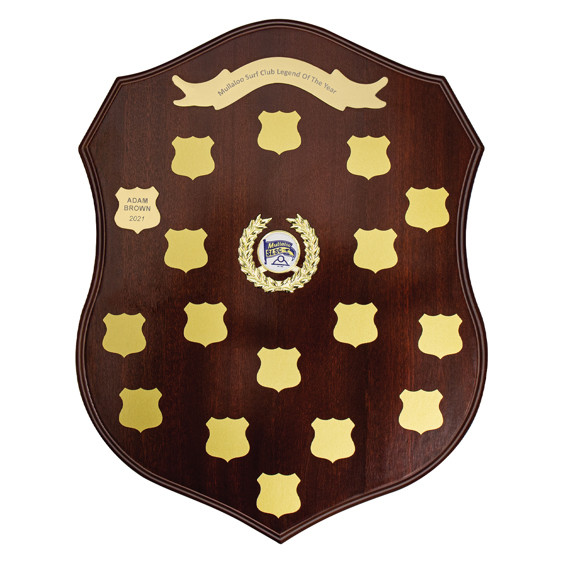 Honour achievement with the Tradition Gold Shield, a classic award that combines timeless elegance with a strong, prestigious presence. Featuring a gold-tone shield mounted on a premium timber backing, this award delivers a refined and professional presentation.