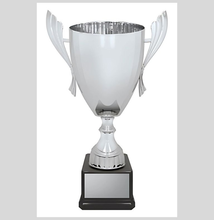 Ironside Cup - Silver