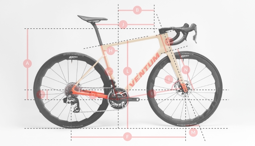 Diagramma geometrico NS1