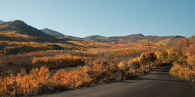 Discover Utah's Top 5 Fall Rides: A Cyclist’s Ultimate Guide - Ventum