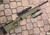 Rhineland Arms target stock for rimfire rifles