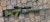 Limey 39