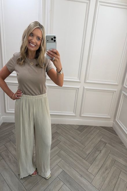 Beige Favourite Pleated  Trousers 