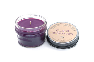 4oz Coastal Blackberries Candle